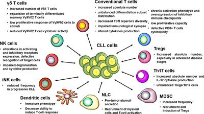 Immune Dysfunctions and Immune-Based Therapeutic Interventions in Chronic Lymphocytic Leukemia